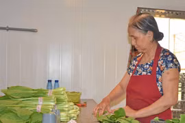 Pleiku ưu tiên phát triển nông nghiệp công nghệ cao