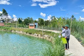 An Khê dồn sức xây dựng nông thôn mới nâng cao