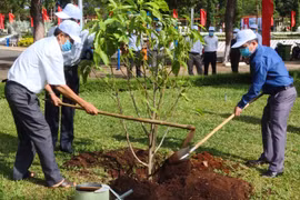 Chư Păh phát động "Trồng cây đời đời nhớ ơn Bác Hồ"