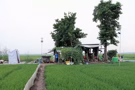 Chặn dịch vào Tây Nam: Chốt '5 không'