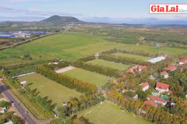 Học viện Bóng đá HAGL-JMG