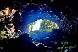 Thám sát "Công viên kỷ Jura" ở Đăk Nông