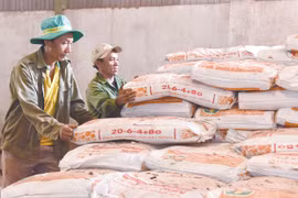 Nông dân Gia Lai gặp khó vì giá phân bón cao ngất ngưởng