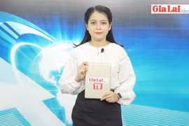 Gia Lai 48h: Thành lập 7 đoàn kiểm tra công tác phòng-chống dịch Covid-19