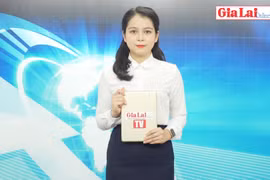 Gia Lai 48h: Ngăn chặn dịch bệnh xâm nhập qua biên giới