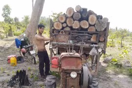 Chư Prông: Tạm giữ 8 xe công nông, 1 máy cày chở hơn 31 ster củi không rõ nguồn gốc