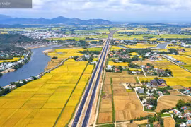 Bình Định: Hăm doạ, thông đồng trong đấu giá đất, Chủ tịch huyện yêu cầu chấn chỉnh