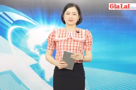 Gia Lai 48h: Tháo gỡ vướng mắc cho Khu Công nghiệp Nam Pleiku