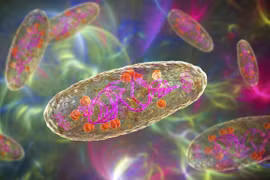 Mộ cổ 500 tuổi tiết lộ sinh vật làm thay đổi loài người vĩnh viễn