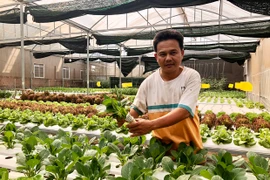 Chư Păh phát triển nông nghiệp ứng dụng công nghệ cao
