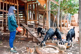 Xã biên giới Ia Dom đẩy mạnh công tác giảm nghèo bền vững