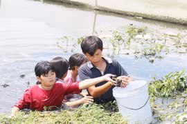 Tuổi thơ nhọc nhằn: Lên Sài Gòn... bắt ốc