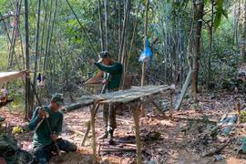 Rừng lạ ào ào lá đỏ (kỳ 1): Vào với Chư Mom Ray