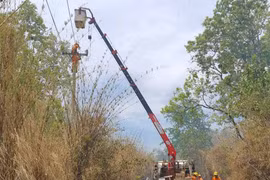 Công ty Điện lực Gia Lai ưu tiên nguồn lực đầu tư nâng cấp hạ tầng điện nông thôn