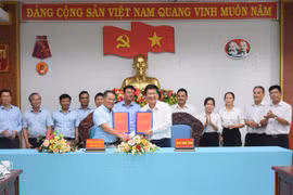 Quản lý nhà nước về lao động, thuế và hải quan: Nâng cao hiệu quả phối hợp