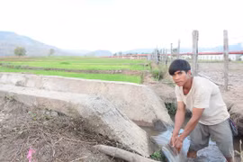 Gia Lai: Kiên cố hóa kênh mương giúp nâng cao hiệu quả sản xuất nông nghiệp
