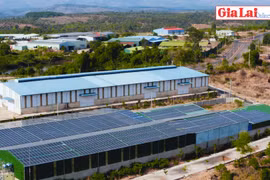 Khu Công nghiệp Nam Pleiku và Khu Kinh tế Cửa khẩu Quốc tế Lệ Thanh