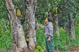 Kon Gang: Những năm tháng hào hùng