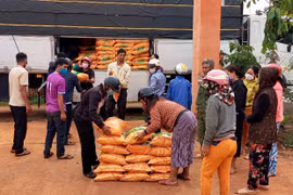 Đak Đoa nhân rộng mô hình sản xuất lúa một giống