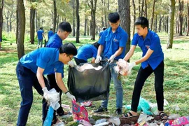 Kỳ 1: Hiệu quả từ các mô hình điểm