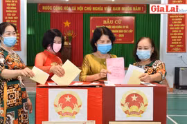 Hân hoan ngày hội non sông