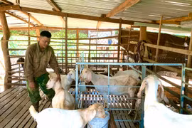 Minh Gia Thiện: Chàng trai không cam chịu nghèo khó