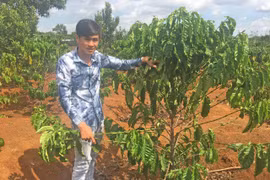 Vươn lên từ lầm lỗi