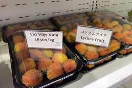 Một loại trái cây của Việt Nam đến Nhật Bản, giá 350.000 đồng/kg vẫn cháy hàng, người Nhật khen "ngon nhất thế giới"