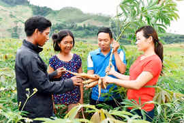 Thế trận lòng dân ở Tây Nguyên-Bài 2 : Hướng về cơ sở