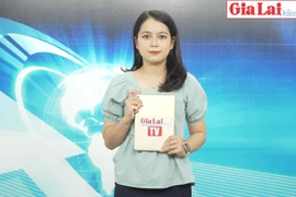 Gia Lai 48h: Ngành Công thương Gia Lai chủ động hội nhập kinh tế quốc tế