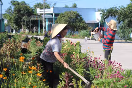 An Khê xây dựng đời sống văn hóa gắn với nông thôn mới