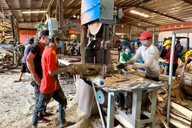 Gia Lai có 310 doanh nghiệp thành lập mới