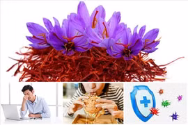 8 điều bạn nên biết về nhuỵ hoa nghệ tây