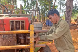 Gầy dựng lại cuộc sống trên mảnh đất quê hương