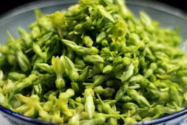 Tác dụng bất ngờ của hoa thiên lý đối với sức khoẻ