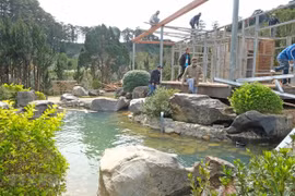 Lâm Đồng: Buộc chủ đầu tư tháo dỡ biệt thự xây không phép ở Bảo Lộc