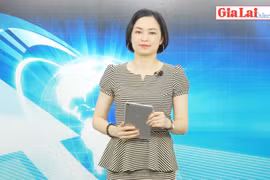 Gia Lai 48h: Hướng đến sản xuất rau, hoa và cây ăn quả bền vững