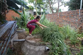 Ô nhiễm môi trường từ các lò giết mổ gia súc