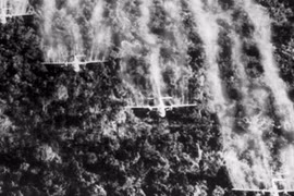 Đến năm 2020, cơ bản khắc phục hậu quả chất độc da cam/dioxin