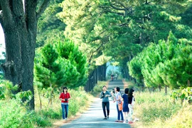 Điểm báo Gia Lai ngày 27-8-2016