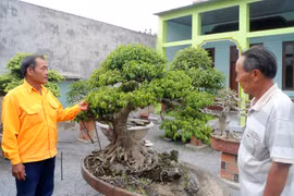 Sân chơi bổ ích cho những người đam mê