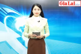 Gia Lai 48h: Mở đợt cao điểm kiểm tra, kiểm soát thị trường dịp Tết