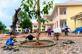 Giải ngân vốn đầu tư công: Cần giải pháp căn cơ