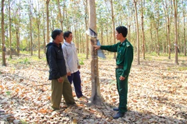 Mai này, làng Le