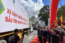 Hương bưởi bay xa  