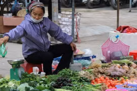 CPI tháng 11 thêm 0,39%: Do giá xăng dầu và chi phí thuê nhà tăng