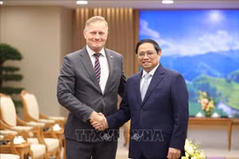  Việt Nam có thể trở thành trung tâm cung ứng ngành điện gió khu vực