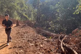 Lâm Đồng xin chuyển 7,6ha rừng tự nhiên xây đường Trường Sơn Đông