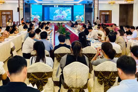 Kết nối giao thương các hợp tác xã tại Gia Lai