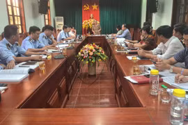 Cục Quản lý Thị trường Gia Lai phát hiện 758 vụ gian lận thương mại và hàng giả